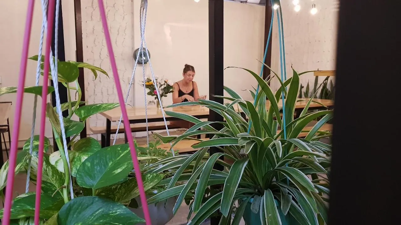 White House Hostel Nha Trang Capsule hotel